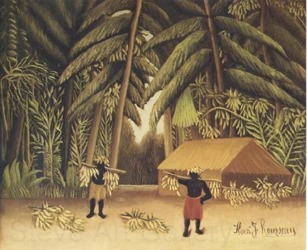Henri Rousseau The Banana Harvest